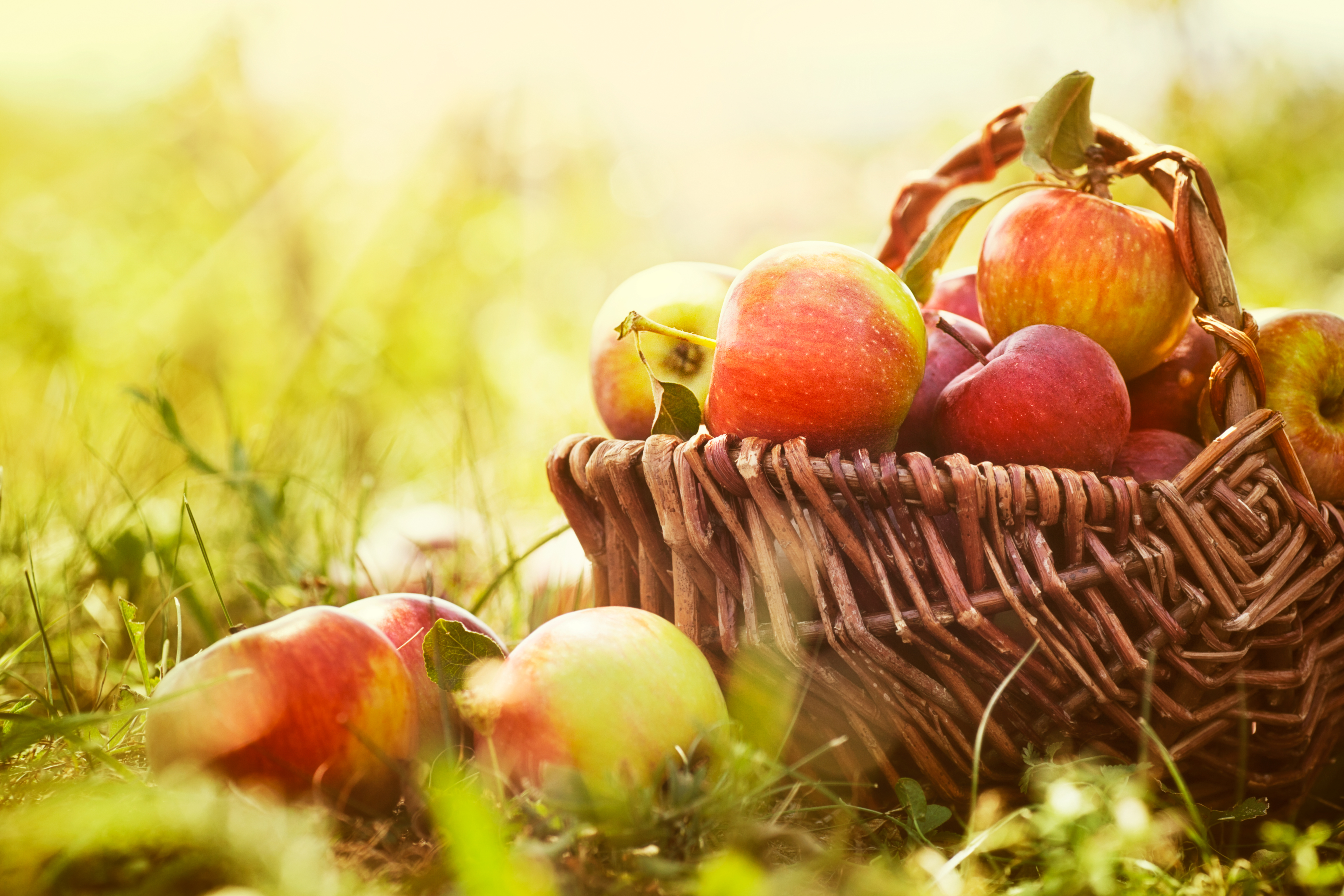 Яблоки яблочный спас. Яблочный спас. Осень яблоки. Корзины с яблоками. Август яблоки.